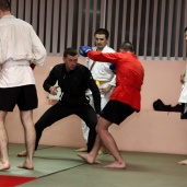 MMa в клубе «Гриззли», фото 1