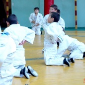 Самбо и дзюдо, фото 7