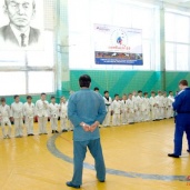 Самбо и дзюдо, фото 13