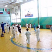 Самбо и дзюдо, фото 14