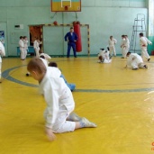 Самбо и дзюдо, фото 35