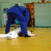 Самбо и дзюдо, фото 65