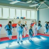 Тхэквондо WTF, фото 15