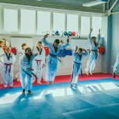 Тхэквондо WTF, фото 17