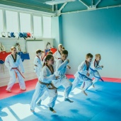 Тхэквондо WTF, фото 22