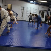 Джиу-джитсу, фото 2