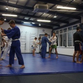 Джиу-джитсу, фото 6