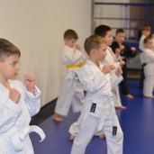 Джиу-джитсу, фото 8