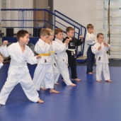 Джиу-джитсу, фото 9