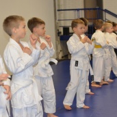 Джиу-джитсу, фото 10