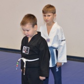 Джиу-джитсу, фото 11