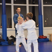 Джиу-джитсу, фото 12