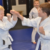 Джиу-джитсу, фото 15