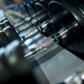 Тренажерный зал, фото 1