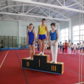 Спортивна гімнастика, фото 3