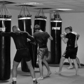MMA, боевое самбо, джиу-джитсу, фото 1