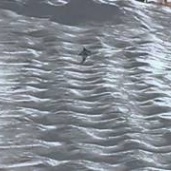 Гірськолижний Могул у спортивній школі «Олімп», відео 1