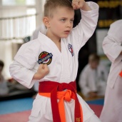 Каратэ, фото 9