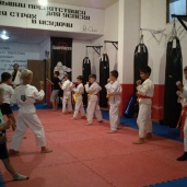 Каратэ Шотокан, фото 3