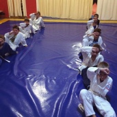 Бразильское джиу-джитсу, фото 2