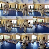 Дзюдо + самбо, фото 3