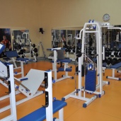 Тренажерный зал спортивного клуба «Викинг ПЛЮС», фото 6