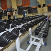 Тренажерный зал спортивного клуба «Викинг ПЛЮС», фото 8