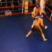 MMA, фото 6