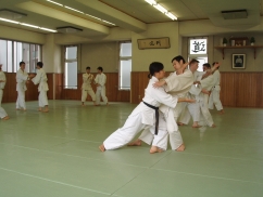 Школа «Aikido Kiyokan Dojo» на Симона Петлюры, фото 1