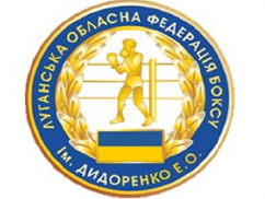 Луганская областная федерация бокса им. Э.А. Дидоренко, фото 1