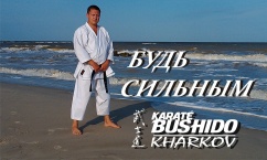 Спортивный клуб «Бушидо Харьков» на Данилевского, фото 1