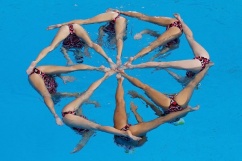 Киевская спортивная организация «Dnipro Synchro» на Новой Дарнице, фото 1
