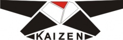 Школа единоборств «Kaizen», фото 1