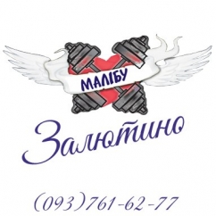 Тренажерный зал ФК «Малибу» на Залютино, фото 1