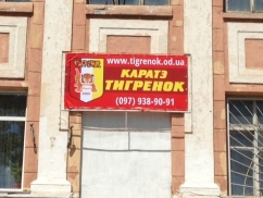 Спортивный клуб «Тигренок» на Николаевской дороге