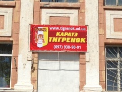 Спортивный клуб «Тигренок» на Николаевской дороге, фото 1