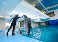 Фитнес-клуб «Nemo Fit & Spa»