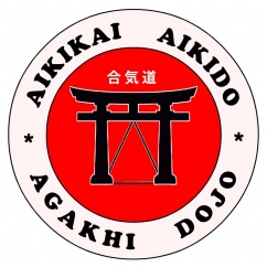 Клуб айкидо «Агахи» на Мирном, фото 1